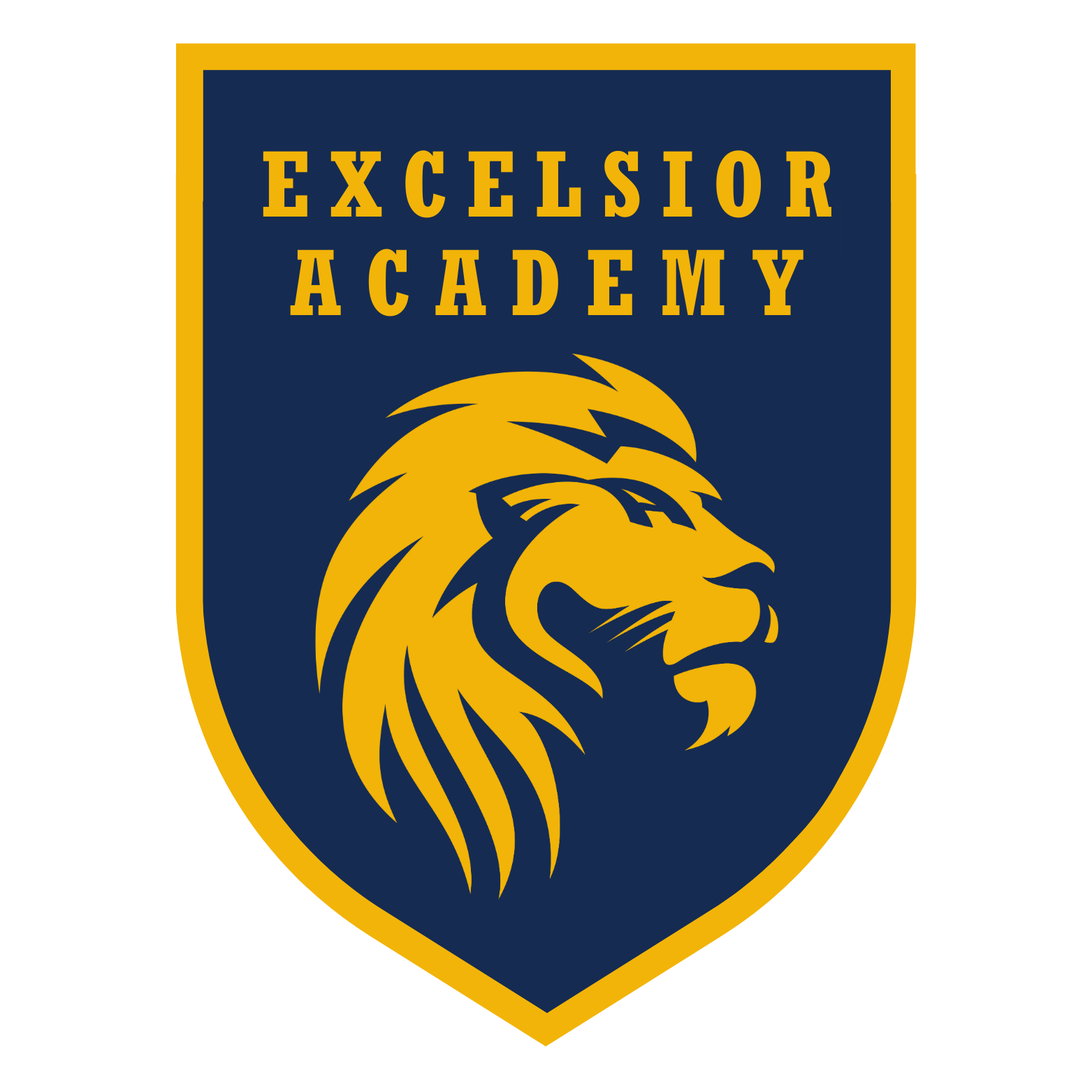 Excelsior Academy